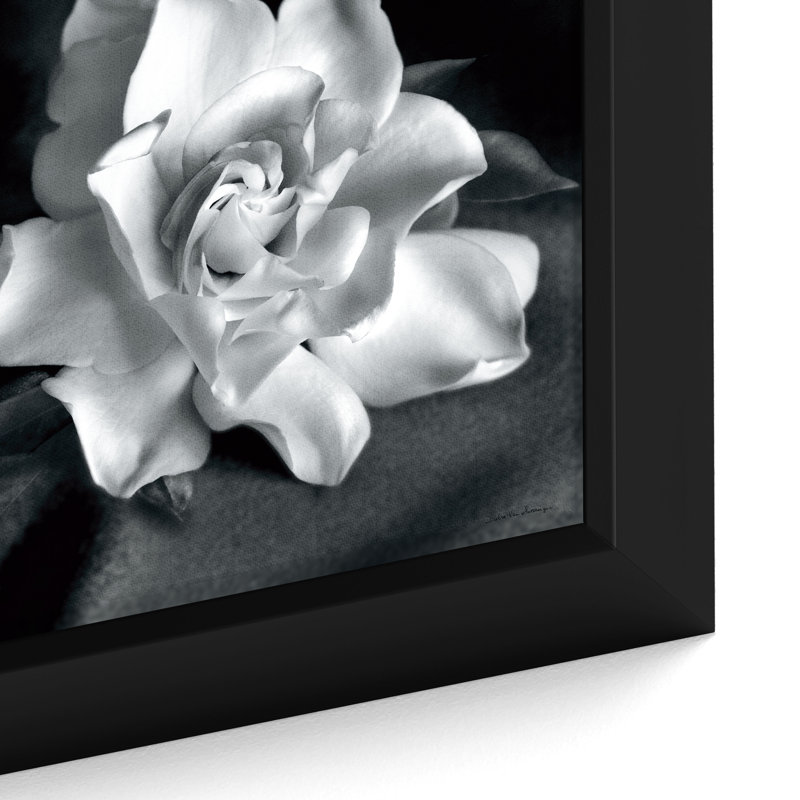"Gardenia" by Debra VanSwearingen, Fine Art Flower Photograph on Gallery Canvas, 24" H x 24" W, Floater Framed Print, Black