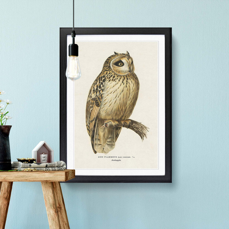 Short-Eared Owl by Von Wright - Picture Frame Painting Print, Black, 91cm H x 60cm W x 2cm D