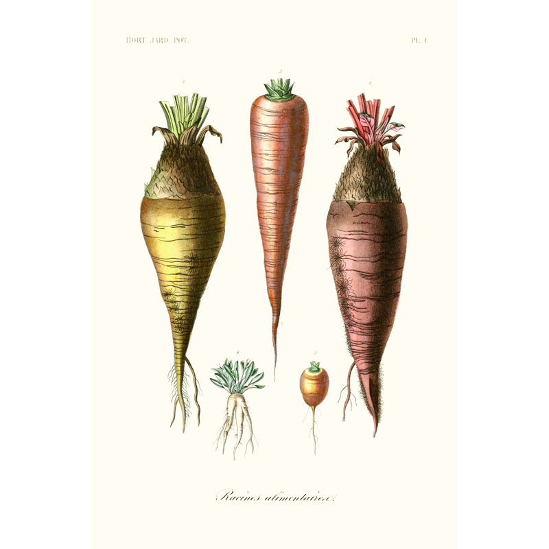 Fruit & Vegetable Varieties VI - Wrapped Canvas Print, 122cm H x 81cm W x 3.8cm D