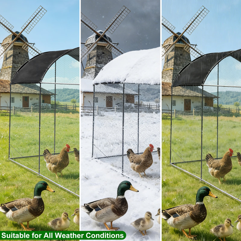 6m² Chicken Run