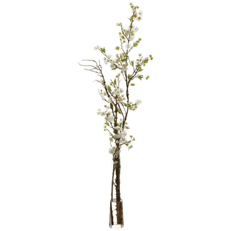 Tiges de fleurs cerises en vase