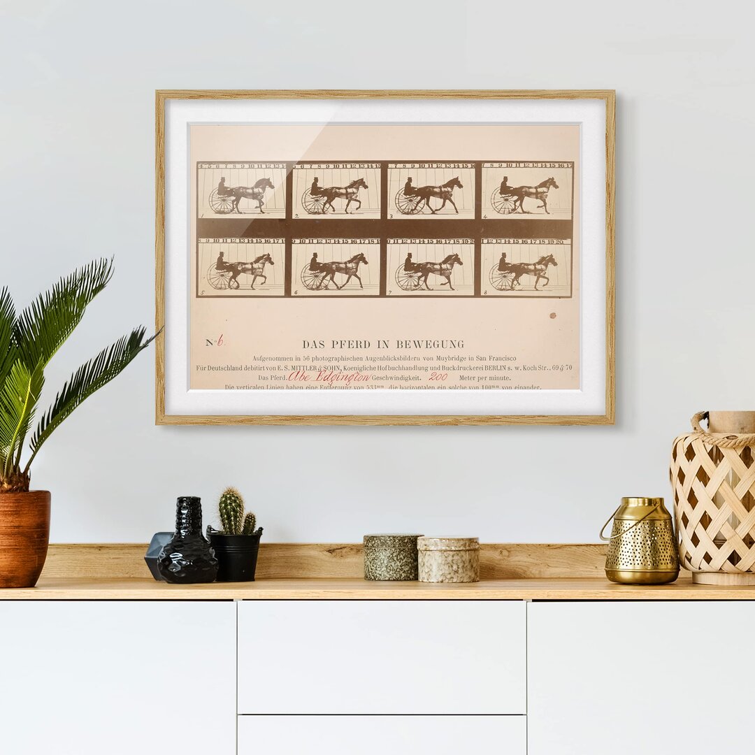 Gerahmtes Poster The Horse in Motion von Eadweard Muybridge