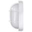 Luminaire à cloison ovale d'extérieur intégré en verre givré à DEL H 11,03 po Alandis-2140757878