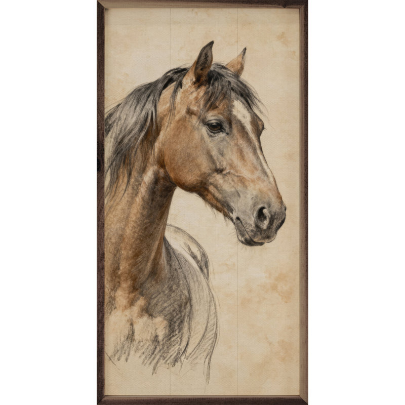 Horse Pencil Study, H 16 po x l 8 po