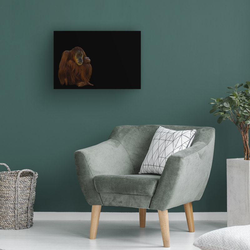 Art sur toile «Bachelor Georgios Tsikiridis Orang Utan», H 16 po x l 24 po