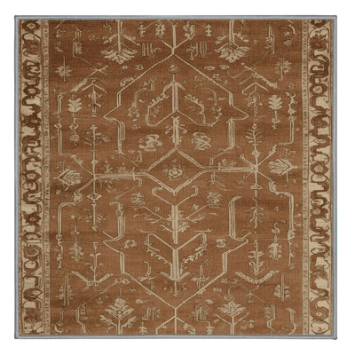 Machine Washable Turkish Brown Area Rug