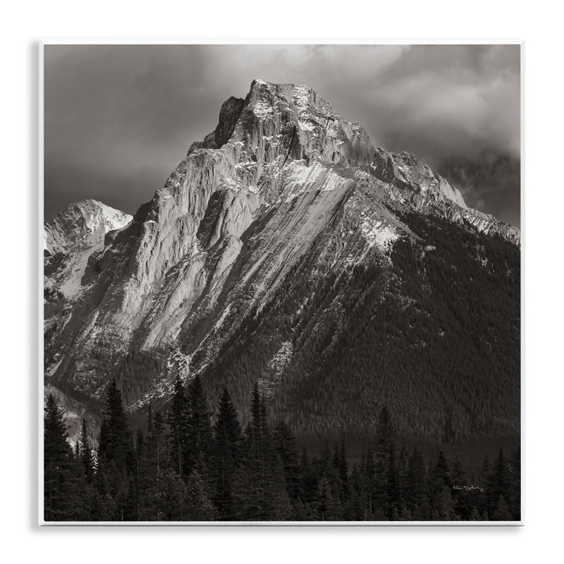 «Canadian Rockies View», art mural par Alan Majchrowicz