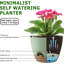 Ensemble de 5 pots à fleurs avec trous de drainage et pots à fleurs en plastique