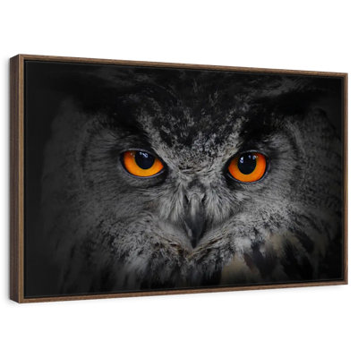 Hibou gris envoûtant