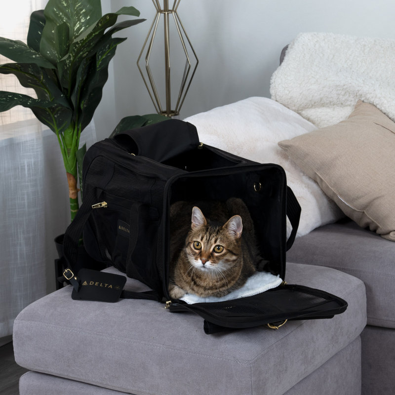 Collapsible Pet Carrier with 2 Doors