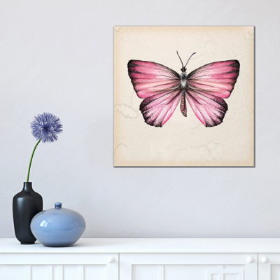 Butterfly Study IV by Melissa Wang - Wrapped Canvas Painting