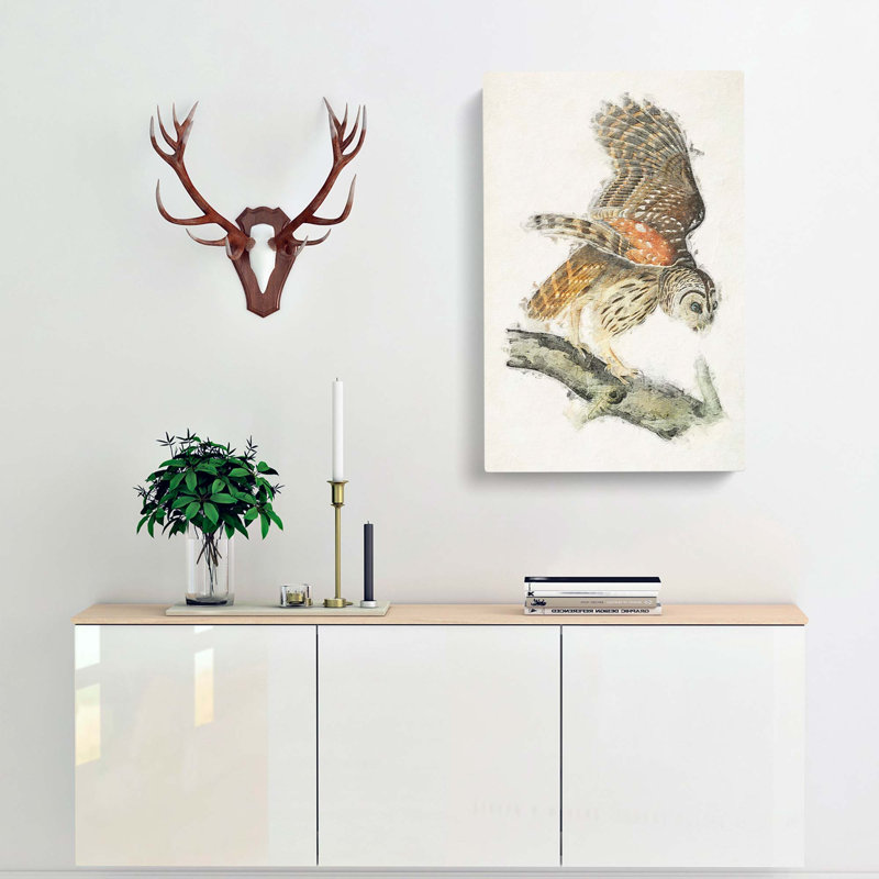 Barred Owl - Wrapped Canvas Painting, 76cm H x 50cm W x 3cm D