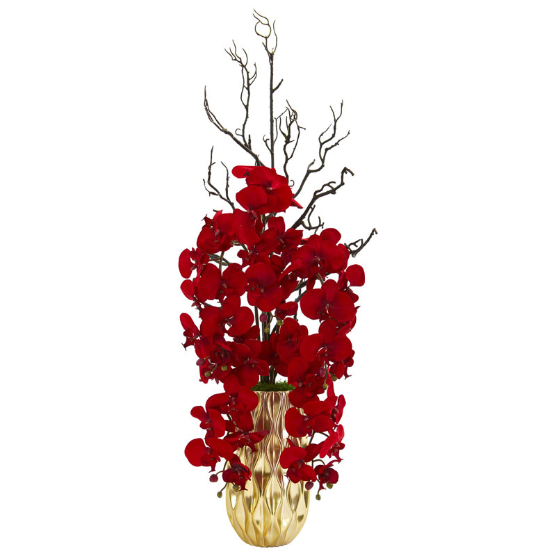 Orchid Arrangement in Vase