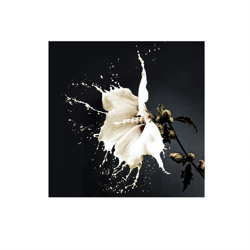 Spash - No Frame Print on Glass