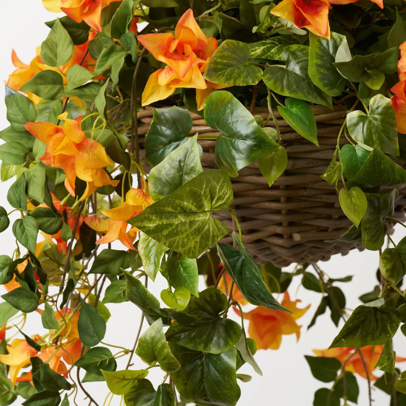 Drapage de bougainvilliers orange dans un panier en rotin