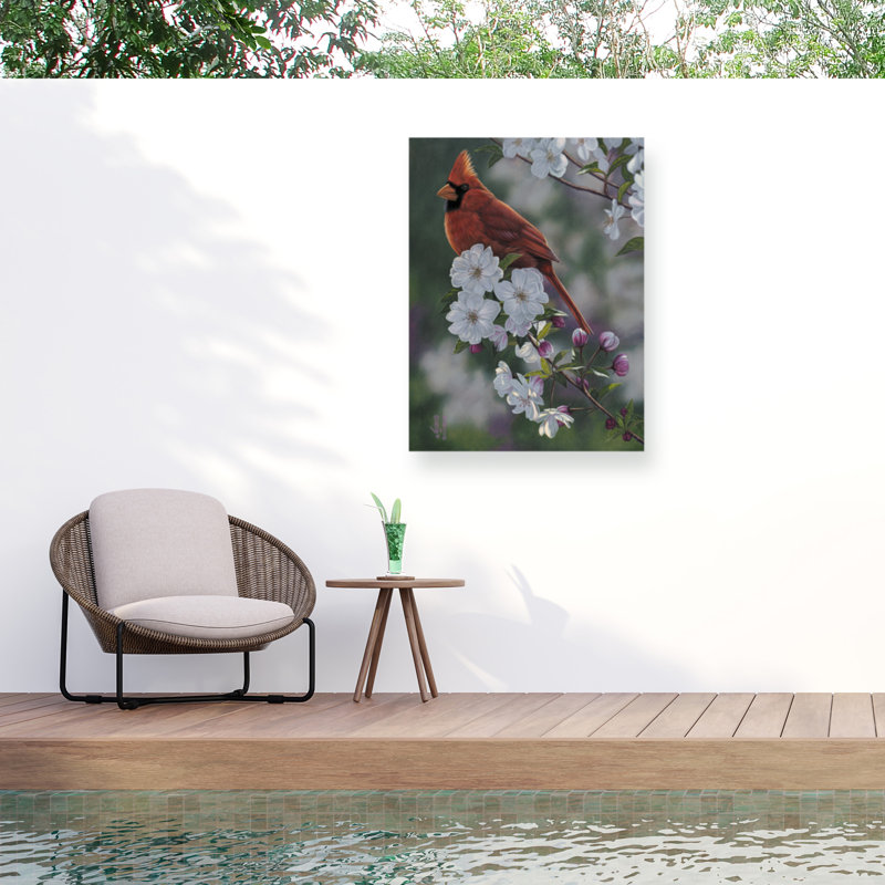 Toile d'extérieur Jeff Hoff Cardinal, H 14 po x l 19 po