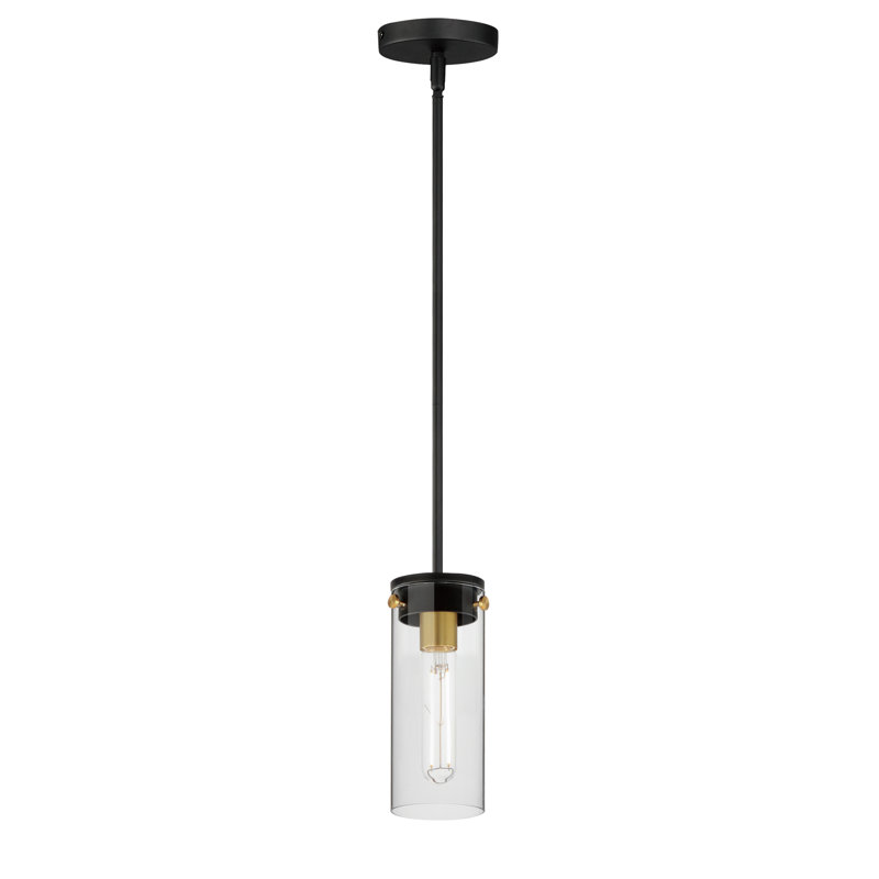 Black and Satin Brass Mini Pendant Light with Clear Glass Shade