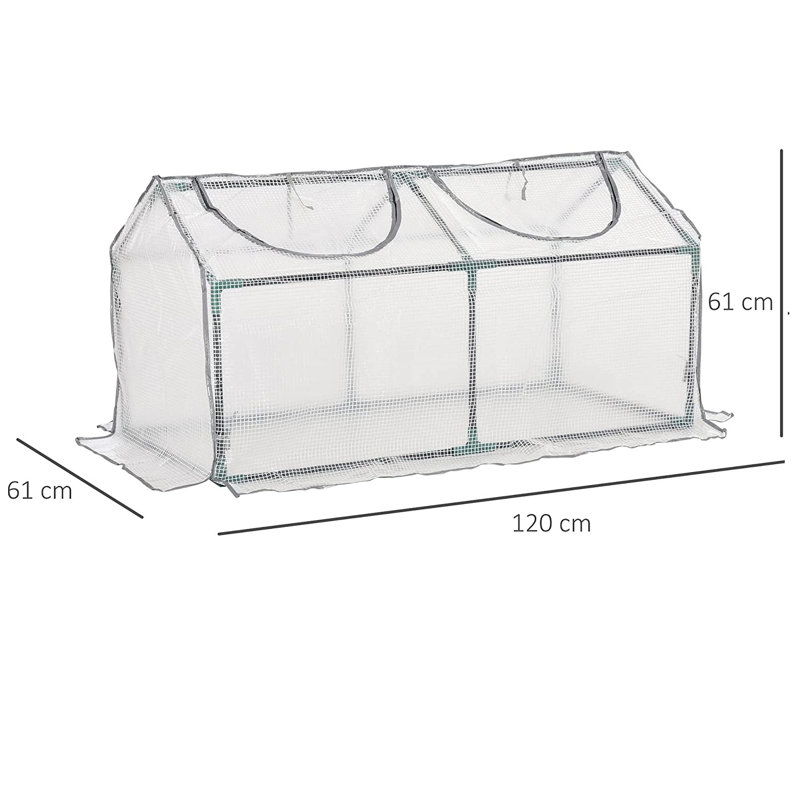 Darrtown 4 Ft W x 2 Ft D Mini Greenhouse