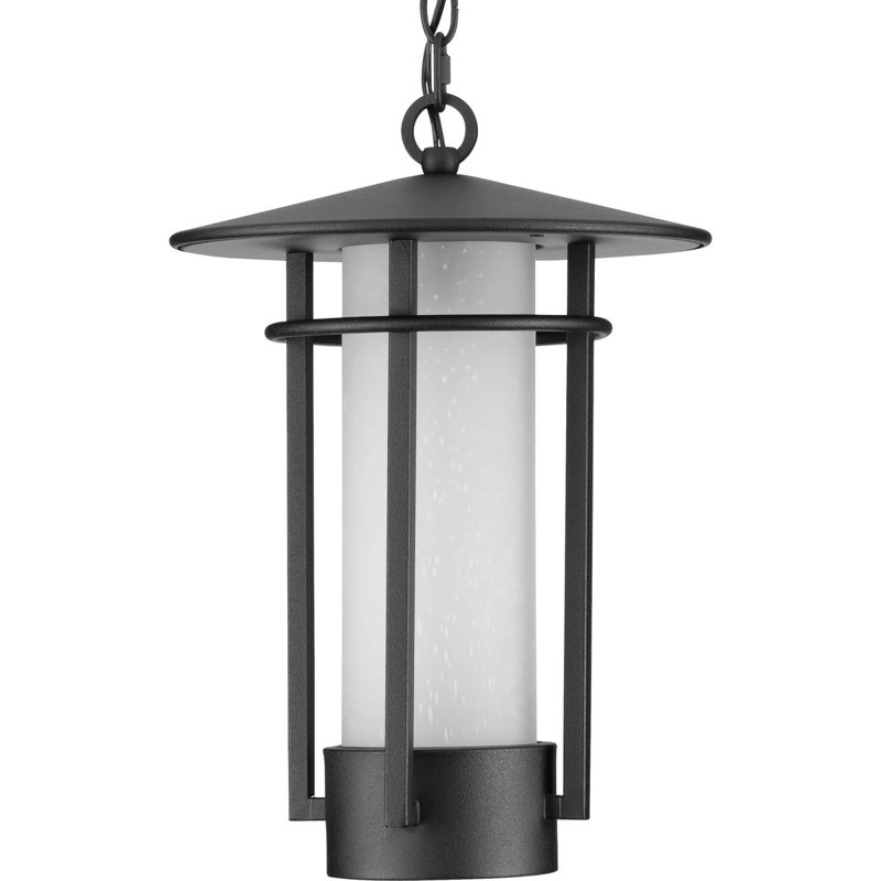 Lanterne suspendue d'extérieur 1 lumière noire H 16 po Hollman