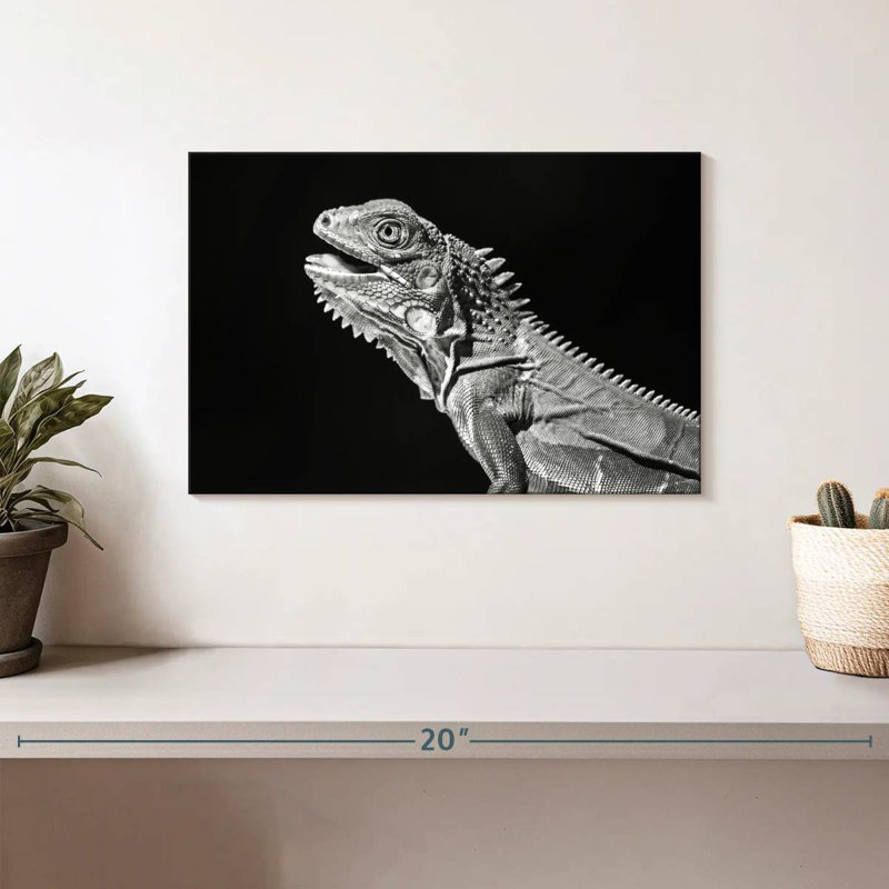 Monochrome Iguana, 8" H x 12" W