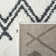 Alieshia Berber Shag Performance Geometric Rug