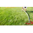 Propel 12' Round Trampoline With Safety Enclosure