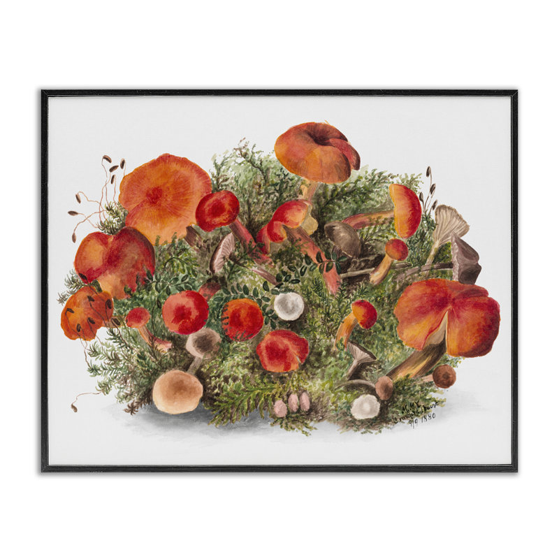 Giclée encadrée par Earthy, Giclée encadrée noir minuit, H 11 po x l 14 po