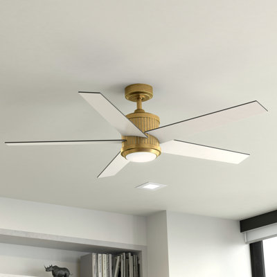 Brahm 56'' Ceiling Fan with LED Lights
