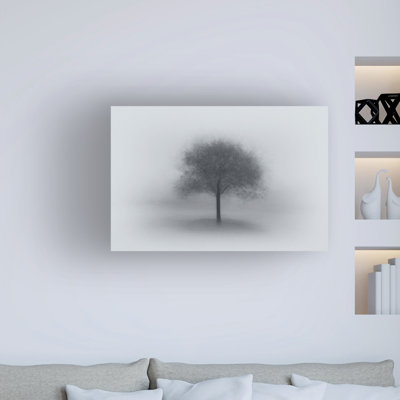 Modern & Contemporary
