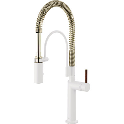 Jason Wu Semi-Professional Kitchen Faucet