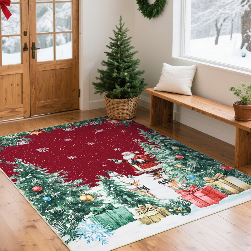 Washable Area Rug, 40*60cm