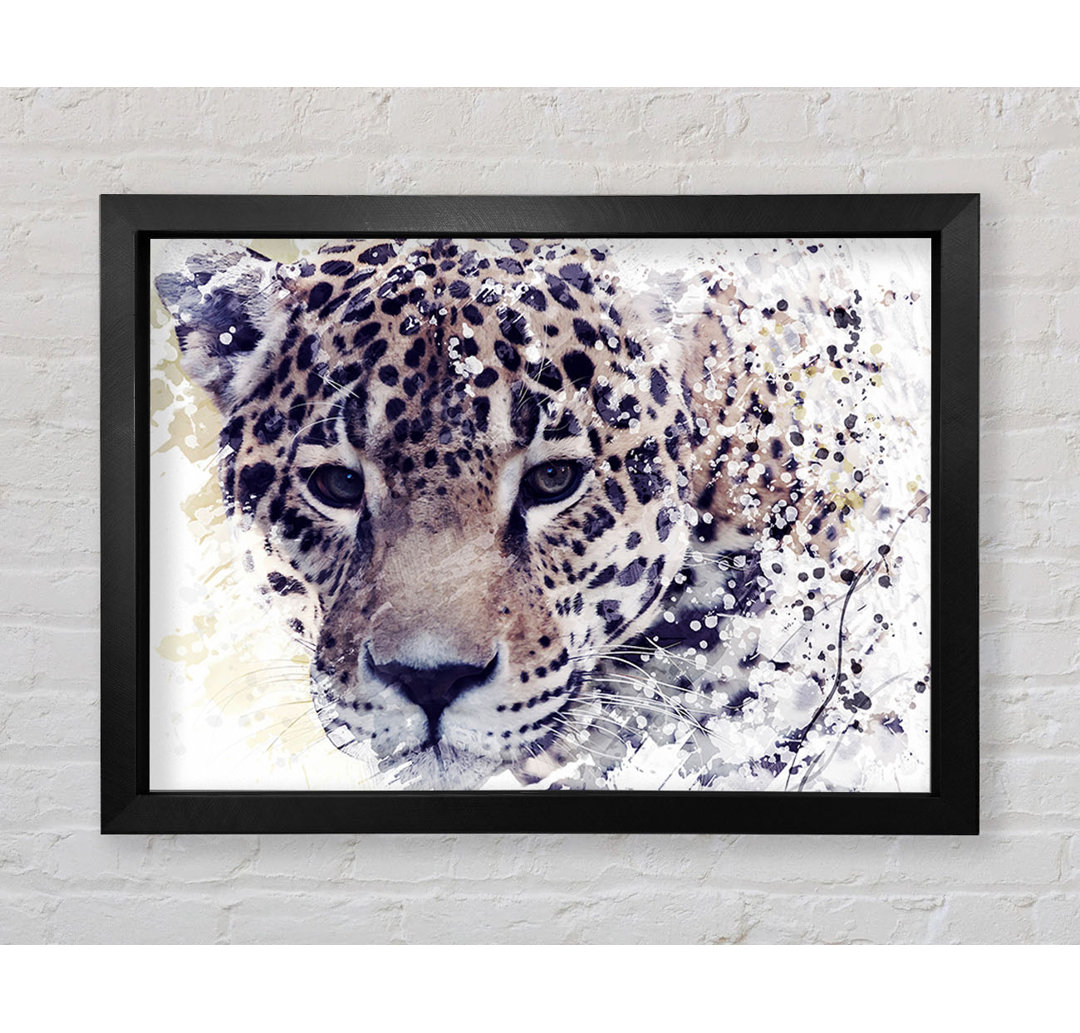 Leopard Splash - Druck