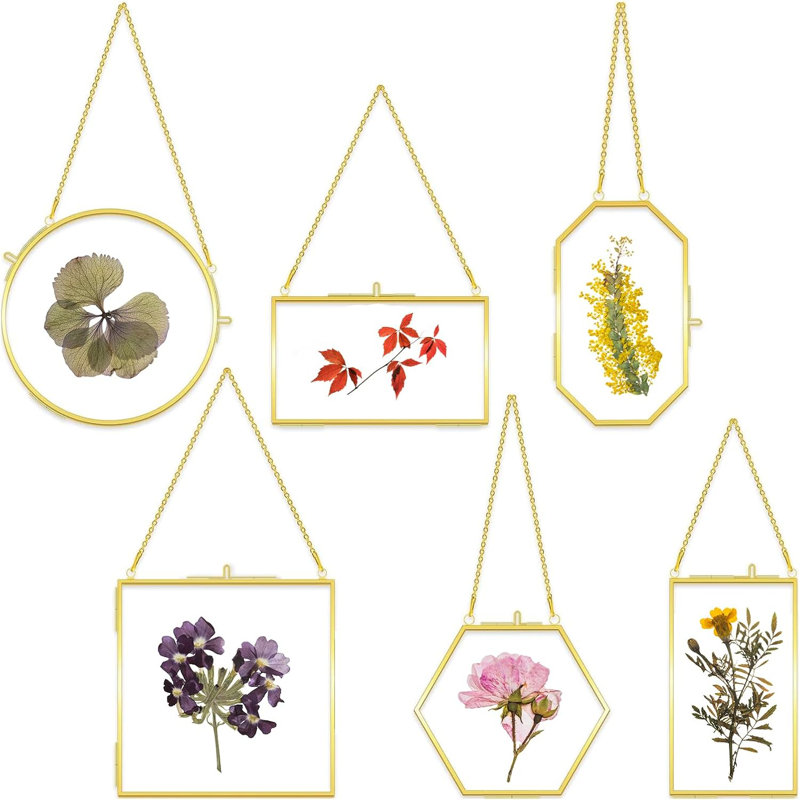 6-piece Double Glass Frame Set