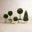 Ensemble de pots topiaires Alby 5 pièces