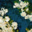 Flowers Fall I Painting by Sara Brown-26728524-26728523