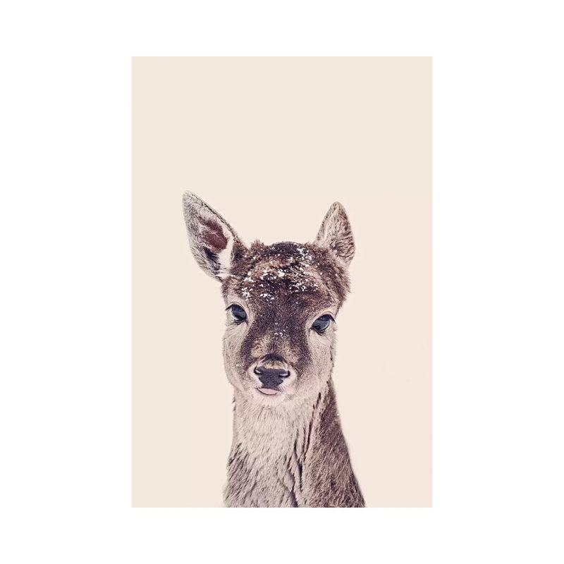 Fawn Rose by Monika Strigel - Wrapped Canvas Print, 20.32 cm H x 30.48 cm W