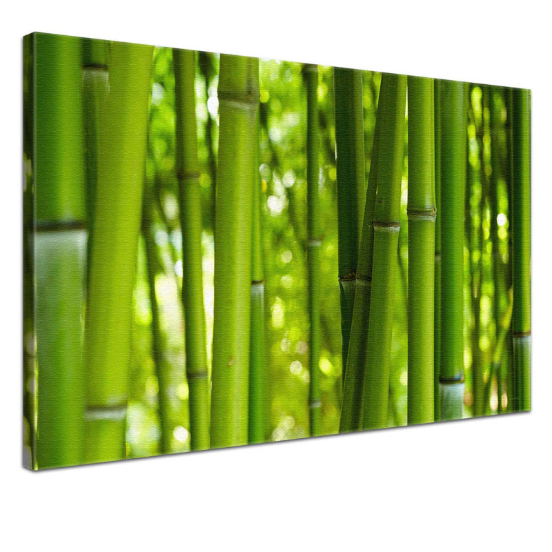 Bamboo - Wrapped Canvas Print, 70cm H x 100cm W x 4cm D