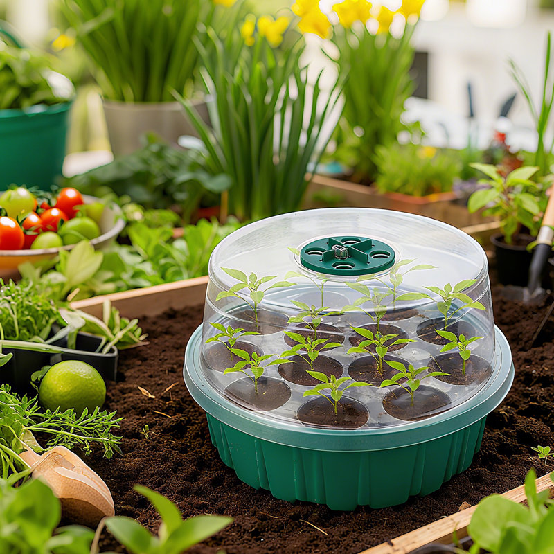Plateau de jardinage à 13 trous avec couvercle