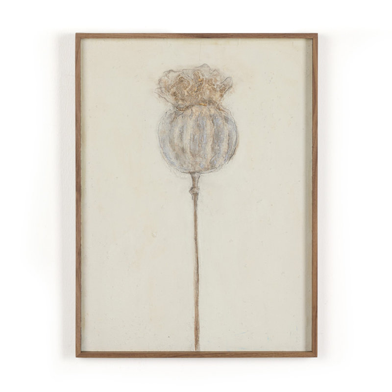 Poppy Crema Painting by Paul Meyer, 24" H x 18" W