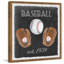 Freedom Baseball Collection - Single Picture Frame Print-37753683