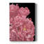 Pe pivoines de mon cœur I - peinture sur toile tendue-395318504