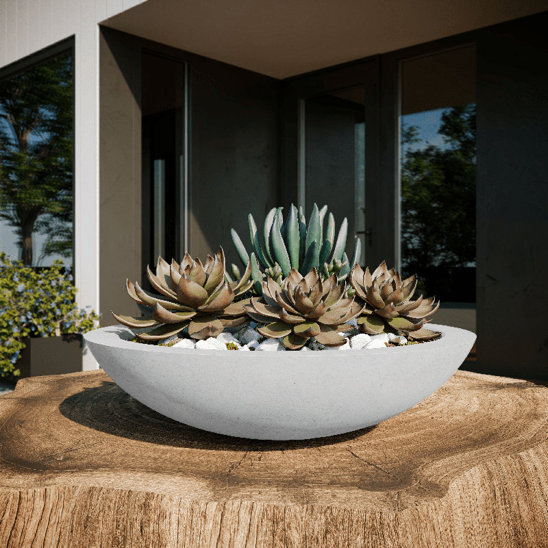 Oceanside Shallow Concrete Planter, White, 4.5" H x 18" W x 18" D