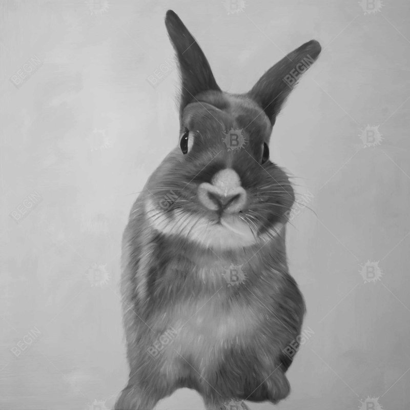 Funny gray rabbit - 26"x26" Throw pillow cover - Poly twill - Print on demand, 26" H x 26" W
