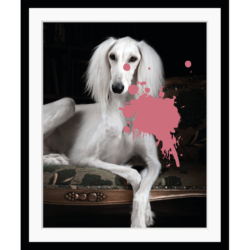 Dog - Single Picture Frame Print