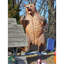 Statue grandeur nature grizzly qui grogne