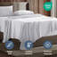 Ensemble de draps doux et respirant Hotel Collection-162598968-238553880