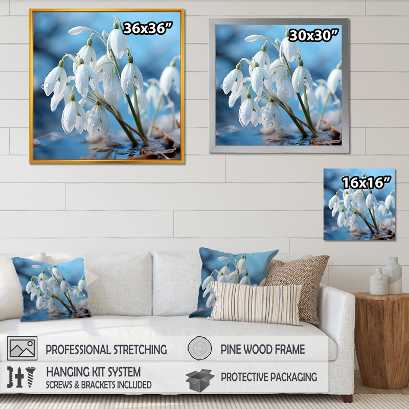 «Frost Snowdrop Flower Photo I», reproduction d'art sur toile, H 36 po x l 36 po x P 1,5 po, Cadre flottant noir