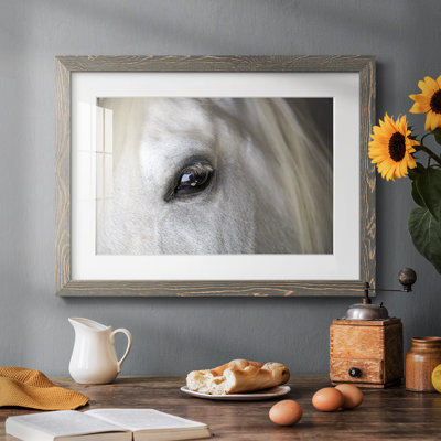 Balearic Island Horse, impression sur papier