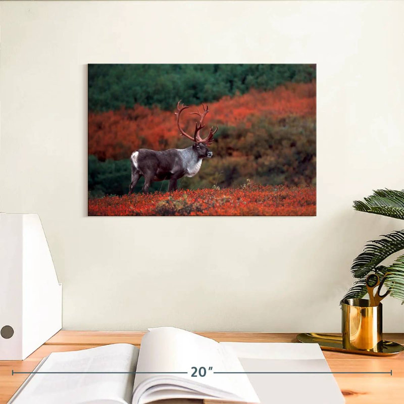 Caribou d'automne Brampt, H 8 po x l 12 po