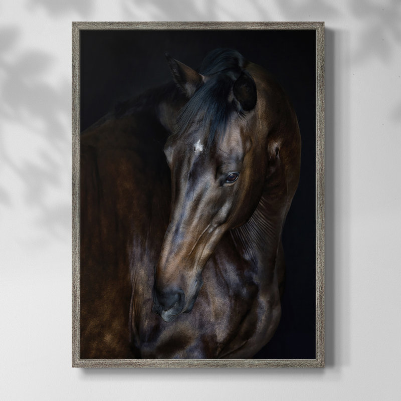 Sunlit Horses I, reproduction encadrée - bois massif, H 30 po x l 24 po
